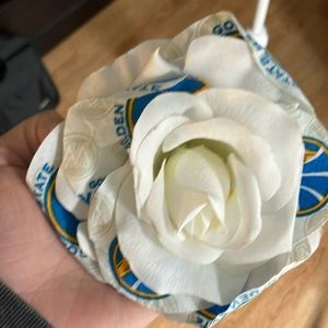 Warriors  hair clip